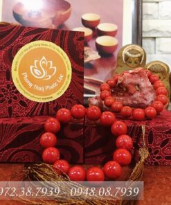 Alternative view of San hô đỏ